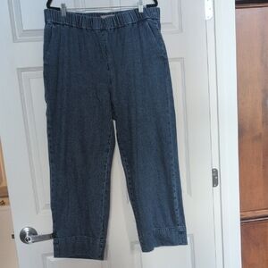 Everlane Dark Blue Wide Leg Jeans